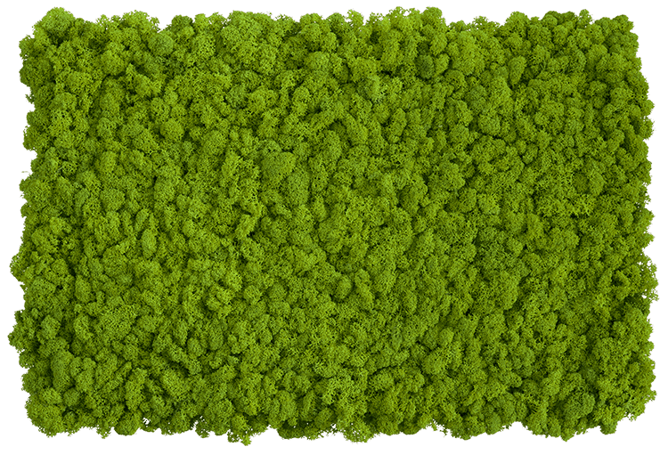 Flexi-panel z Islandského mechu sada 2 ks 100x60 - May green